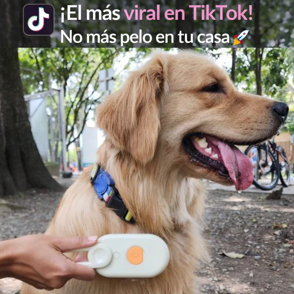 PetCare Pro™ - Adios al pelo
